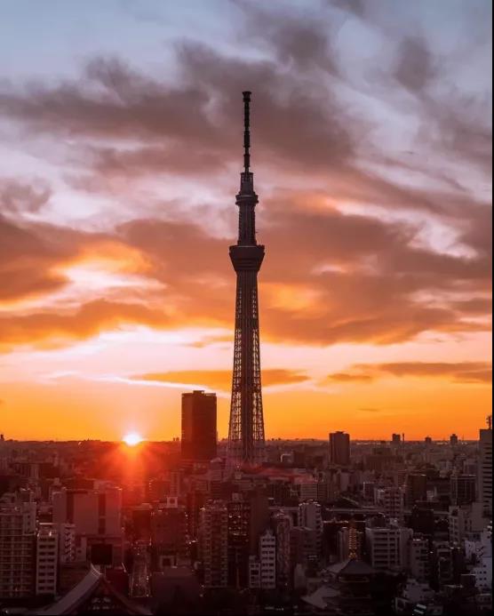 微信圖片_20200729103255.jpg